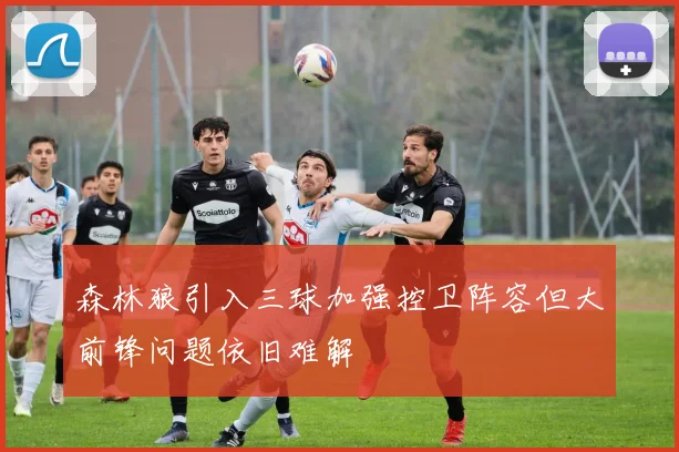 森林狼引入三球加强控卫阵容但大前锋问题依旧难解